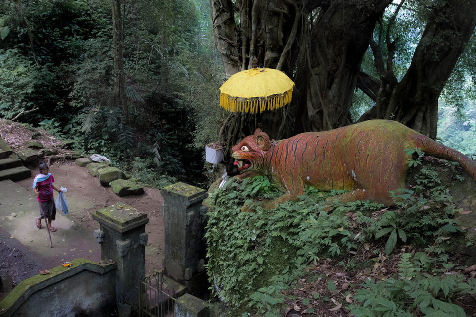 A ceremonial umbrella above a moss-covered tiger statue at a gateway.
