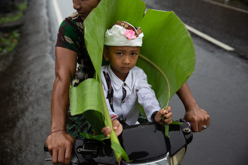 A boy rides pillion holding a banana leaf over himself as shelter from the rain.