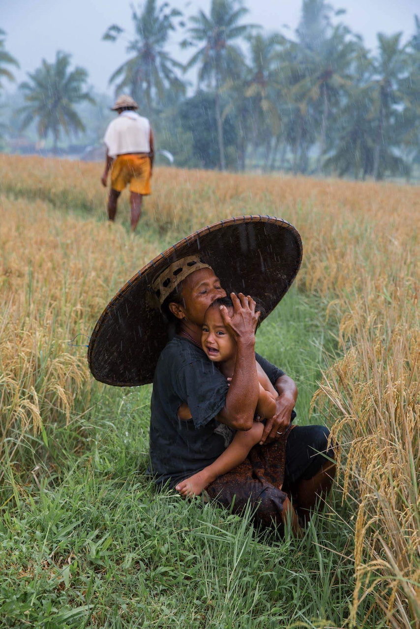 A man in a conical hat shelters a crying child in a rice field.