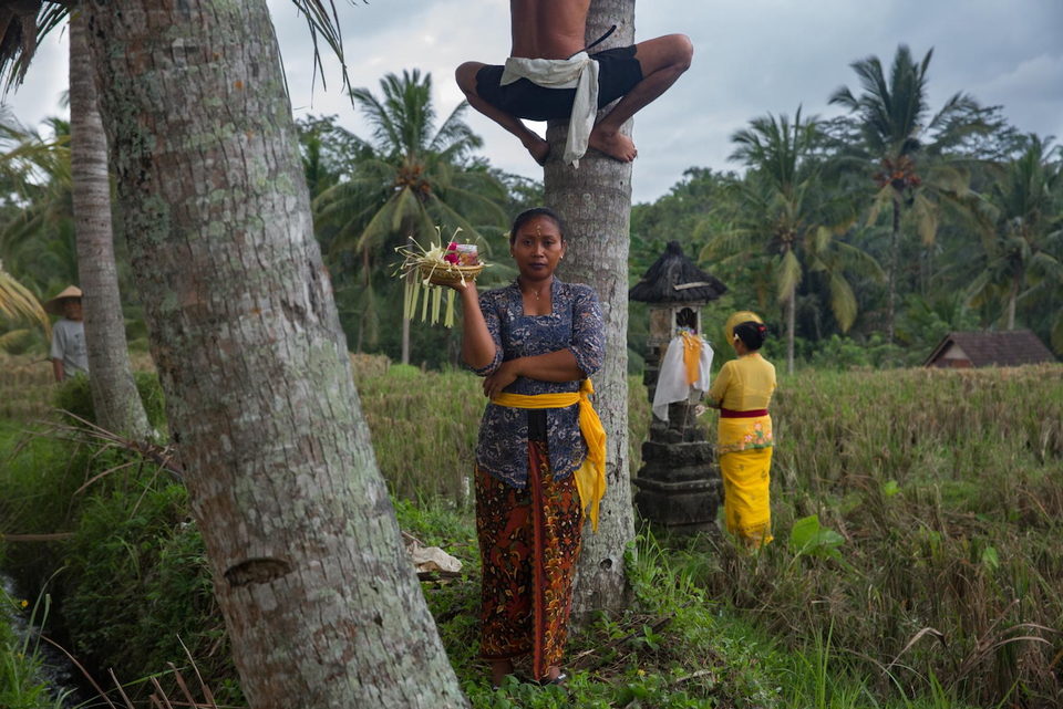 A woman holds an offering beside a palm trunk, a man climbing above her.