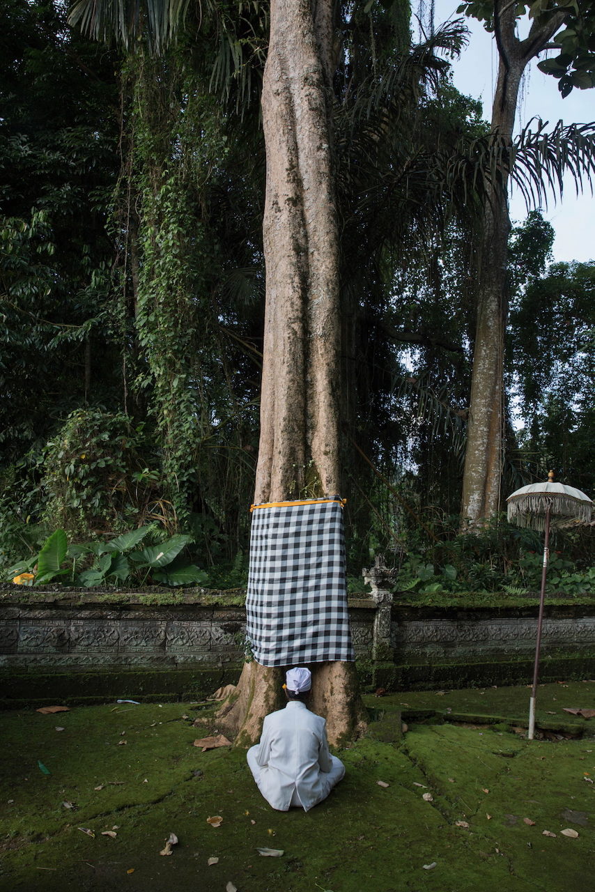 A checked cloth wrapped around a tall palm trunk beside a temple wall.